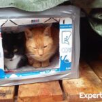 Casa para gatos paso a paso