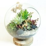 Jardines en miniatura en recipientes de cristal