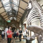 Museo de Historia Natural de Londres - Próximos eventos